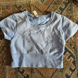 EUC Aerie Offline Blue Ribbed Crop Top